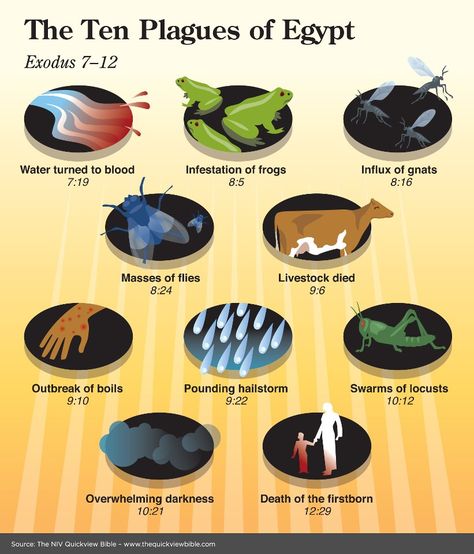 Ten plagues of Egypt Remember each plagues was tear down an Egypt God The Ten Plagues Of Egypt, Ten Plagues Of Egypt, Family Worship Night, Quick View Bible, Plagues Of Egypt, Ten Plagues, Bible Study Help, Family Worship, Bible History