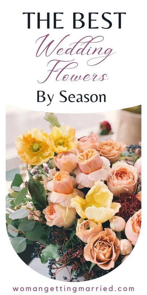 For a quick overview of what’s in season when, I’ve compiled a short list of popular wedding flowers by season and their wholesale price according to Fiftyflowers.com. While most flower wholesalers have year-round availability (like roses and orchids), some local florists may not, so be sure to check with yours to see what works best for your wedding date and budget. Best Flowers For Wedding, Flowers In Season In April, Fall Seasonal Flowers Wedding, Fall Wedding Flowers In Season, In Season Flowers November, Flowers In May Season, August Flowers In Season Wedding, Flowers For A November Wedding, Flowers For February Wedding