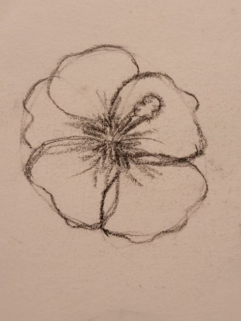 Schetch Ideas Sketchbooks Easy Cute, Cute Flower Sketches, Hibiscus Drawing Simple, Note Drawing Ideas, Hibiscus Flower Aesthetic Drawing, Hibiscus Flowers Drawing, How To Draw Hibiscus Flower, Flower Drawing Hibiscus, Hibiscus Flower Doodle