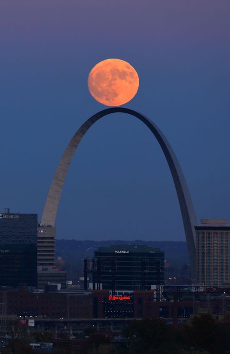 Supermoon over St. Louis Saint Louis Arch, St Louis Arch, The Gateway Arch, Shoot The Moon, Gateway Arch, Moon Pictures, Moon Photography, Moon Rise, Super Moon