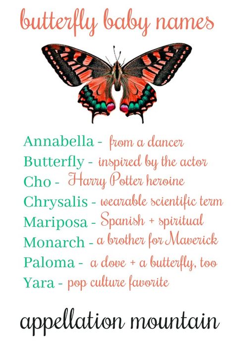 Butterfly #babynames. Because I really hope someone uses Mariposa!   If you love unexpected #naturenames, this list is for you. Aesthetics Names, Love Unexpected, Butterfly On A Flower, Names Character, Nature Names, About Butterfly, Children Names, Girl Names With Meaning