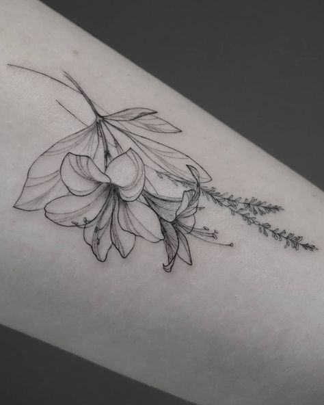 Azalea Flower Tattoo Simple, Azalea Tattoos, Azalea Flower Tattoo, Azalea Tattoo, Book Inspired Tattoos, Flower Bouquet Tattoo, Iris Tattoo, Hibiscus Tattoo, Azalea Flower