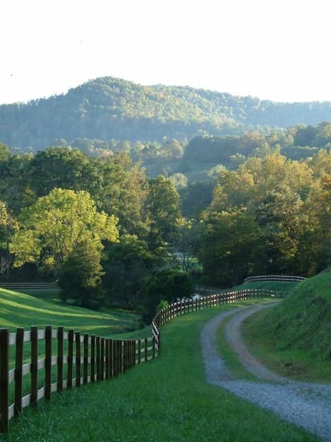 Kentucky House On Land Country, Kentucky Hills, Kentucky Countryside, Kentucky Mountains, Country Backroads, Beautiful Fences, Kentucky Photography, Kentucky Horse Farms, Horse Country