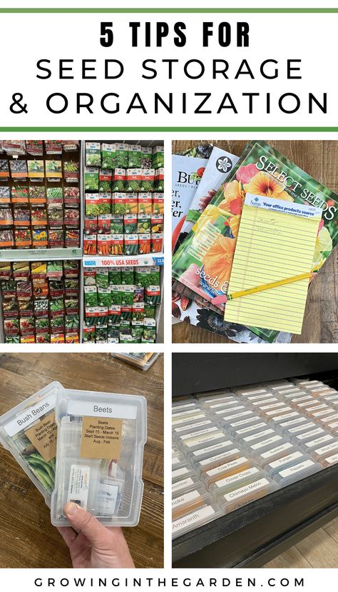 Organizing Garden Seeds, How To Organize Garden Seeds, Organisation, Seed Saving Ideas, Seedling Organization, Garden Organization Ideas Vegetables, Organizing Seed Packets, Seed Packet Organization, Seed Storing Ideas