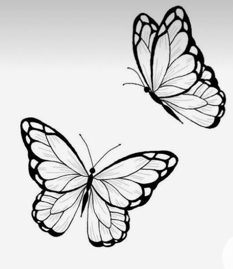 Different Butterfly Tattoo Stencil, Blue Morpho Butterfly Tattoo Black And White, Drawing On Wrist, Black And Grey Butterfly Tattoo, A Butterfly Drawing, Butterfly Drawing Outline, Tattoo Papillon, Tattoo Stencil Designs, Easy Butterfly Drawing