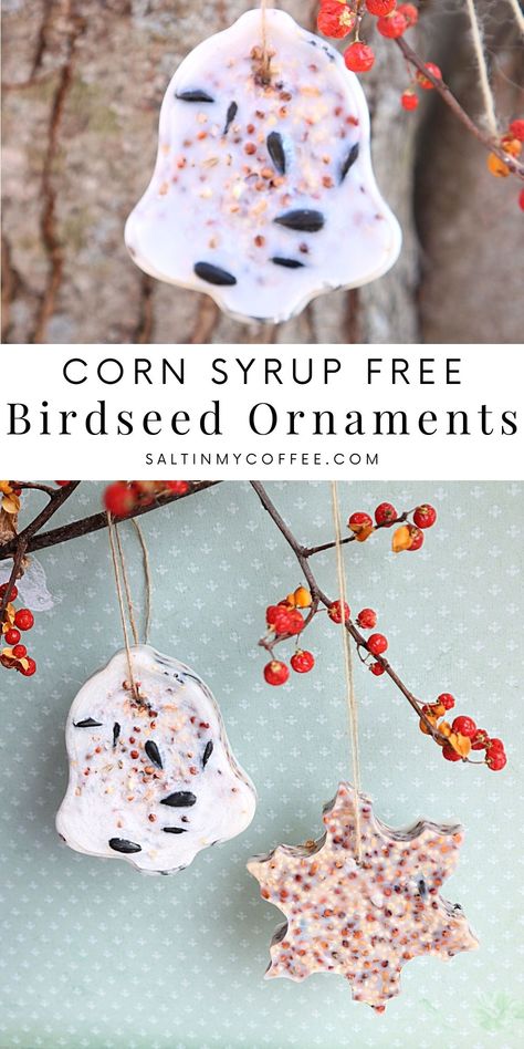 Christmas Bird Seed Craft, Homemade Birdseed Ornaments, Diy Birdseed Wreath, Edible Ornaments For Animals, Bird Feed Christmas Ornaments, Christmas Bird Feeder, Bird Seed Ornaments Recipe Peanut Butter, How To Make Birdseed Ornaments, Diy Birdseed Feeder