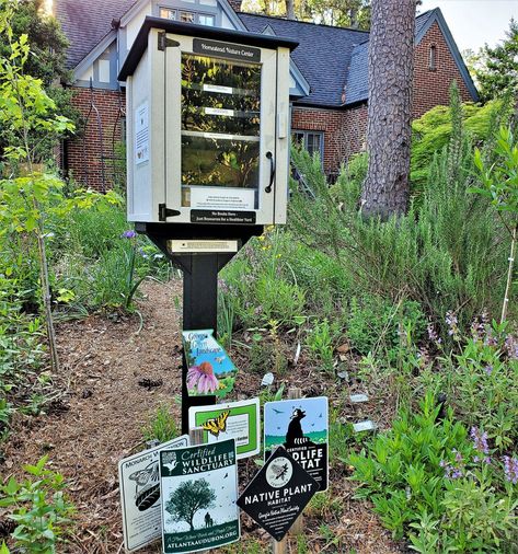 Add a Mini Nature Center to Your Wildlife Habitat Yard Nature, Backyard Wildlife Habitat Ideas, Wildlife Habitat Garden, Certified Wildlife Habitat Yards, Wildlife Projects, Sustainable Yard, House Diys, Garden Cover, Plant Friends