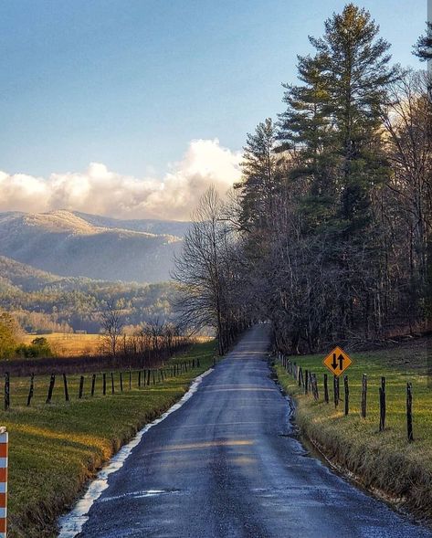 Views of the South on Instagram: “The beautiful Cades Cove in Tennessee • 📸@_onelove_photography_ • Follow @viewsofthesouth #cadescove #thegreatsmokymountainsnationalpark…” Southern Aesthetic, Smoky Mountains Tennessee, Cades Cove Tennessee, Tennessee Vacation, Gatlinburg Tennessee, Cades Cove, Senior Trip, Drive Thru, Great Smoky Mountains National Park