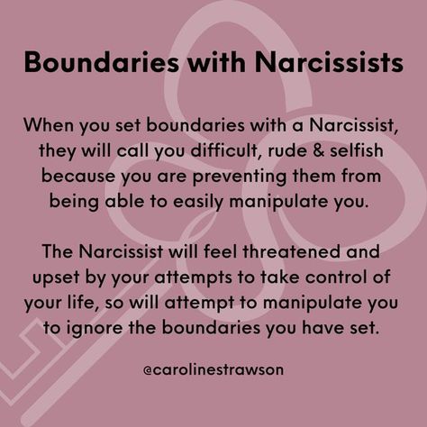 Personal Boundaries Quotes, Setting Boundaries Quotes, Blame Quotes, Narcissistic Boss, Family Issues Quotes, Healing Yourself, Mad At You, Boundaries Quotes, Narcissism Quotes