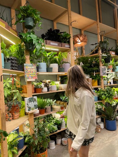 @hollanddaddi on ig Hoya Collection Display, Plant Showroom Design, Houseplant Shop Display, Plant Shop Photography, Houseplant Workshop, Coffee Plant, Interior Plants, Flower Studio, Garden Shop