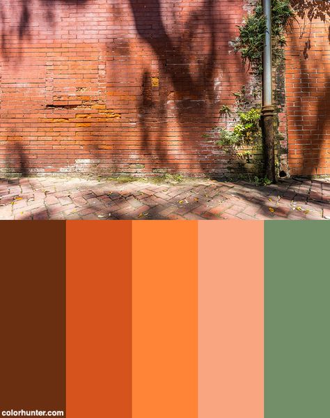 An Old Brick Wall Color Scheme from colorhunter.com Brick Orange Color Palette, Brick Wall Color Palette, Color Palette Brick Red, Red Brick Colour Palette, Colorful Brick Wall, Brick Colour Palette, Brick House Color Scheme, Red Brick Color Scheme, Brick Wall Color Ideas