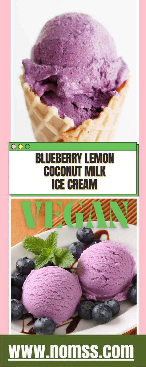 Vitamix Ice Cream Recipes, Coconut Milk Ice Cream Recipe, Vitamix Ice Cream, Blueberry Ice Cream Recipe, Ice Cream Vegan, Desserts Table, Coconut Milk Ice Cream, Vegan Ice Cream Recipe, Healthy Ice Cream Recipes