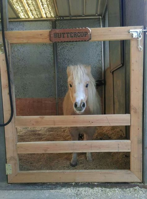 Mini door that can be converted for big horses Mini Horse Shelter, Mini Donkey Shelter, Barn Ideas For Horses, Mini Horse Barn, Horse Barn Ideas, Miniature Horse Barn, Palomino Pony, Small Horse Barns, Horse Farm Ideas