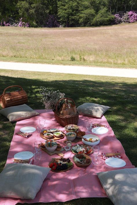 Picnic And Flowers, Pic Nic Birthday Party Aesthetic, Small Birthday Picnic Ideas, Birthday Picnic Ideas Kids, Color Picnic Ideas, Pic Nic Ideas Romantic, Outside Picnic Ideas, Picnic Under Tree, Small Picnic Ideas