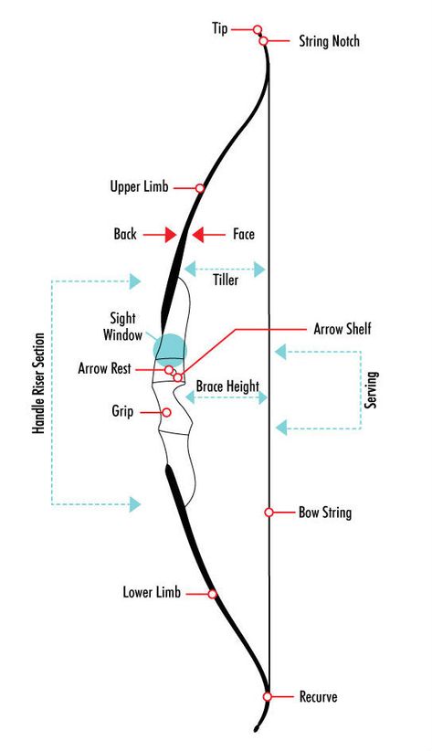 A basic guide to the parts of a bow – Lancaster Archery Supply Special Operator, Archery For Beginners, Archery Aesthetic, Archery Lessons, Archery Training, Archery Tips, Recurve Bows, Archery Bows, Bow Template