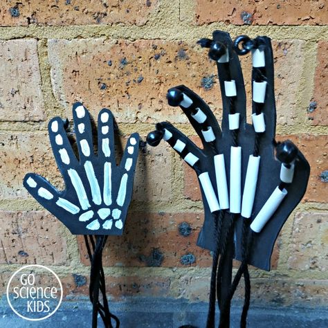 How to Make an Articulated Skeleton Hand – Lesson Plans Tela, Hand Bone Structure, Dementor Costume, Articulated Hand, Skeleton Crafts, Articulated Skeleton, Violet Crumble, Skeleton Craft, Human Body Projects