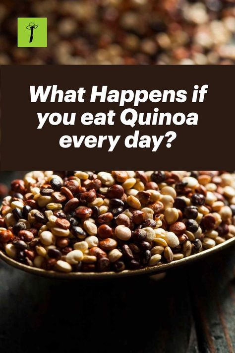 What Happens if you eat Quinoa every day? Quinoa For Diabetics, How Do You Cook Quinoa, Ways To Eat Quinoa, Is Quinoa Good For You, What To Eat With Quinoa, Black Quinoa Recipes, Quinoa Benefits Facts, Quinoa Nutrition Facts, Rice And Quinoa Recipes