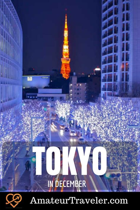 What to do in Tokyo in December #tokyo #japan #december #travel Christmas In Tokyo Japan, December In Japan, Tokyo In December, Tokyo In Winter, Tokyo December, December Video, Japan In December, Japan December, Japan Honeymoon