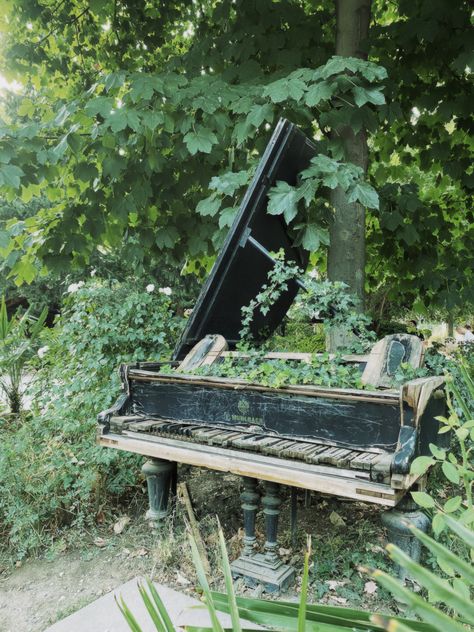 Piano In The Forest, Juniper Aesthetic, Piano Forest, Abandoned Piano, Branding Shots, Dream Realm, Forest Games, Stone Forest, Old Pianos