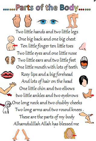 body parts song Rhyming Poems For Kids, Body Parts For Kids, Preschool Poems, Ingles Kids, English Poems For Kids, Nursery Rhymes Lyrics, English Rhymes, Body Preschool, Rhyming Poems