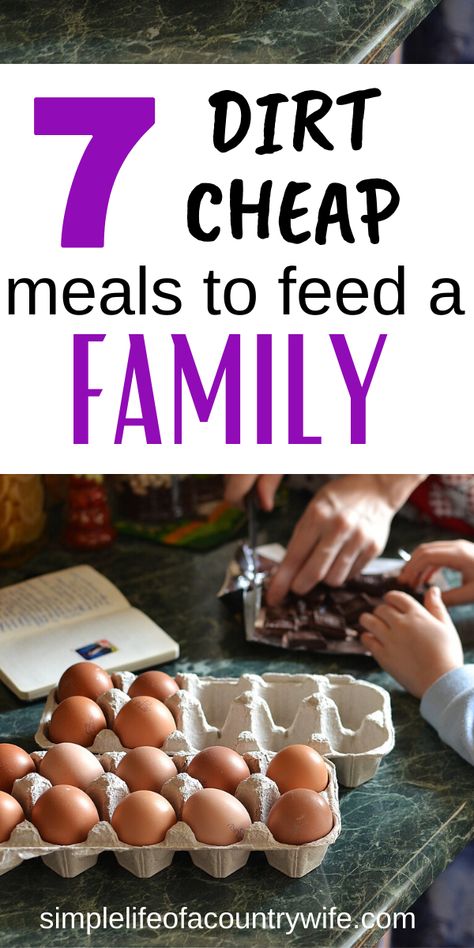 Family Cheap Meals, Easy Toddler Lunches, Dirt Cheap Meals, Cheap Snack, Easy Cheap Dinner Recipes, Frugal Meal Planning, Cheap Family Meals, Easy Cheap Dinners, Meal Train Recipes