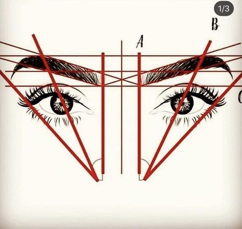 Brow Mapping Tutorial, Microshading Eyebrows, Eyebrow Mapping, Different Eyebrow Shapes, Mircoblading Eyebrows, Brow Mapping, Membentuk Alis, Eyebrow Makeup Tutorial, Drag Make-up