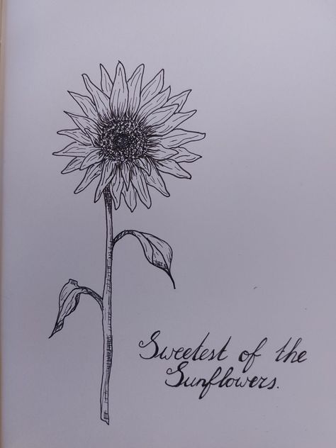 Sunflower. Zach Bryan Sun To Me Lyrics, Zach Bryan Sun To Me Wallpaper, Sweetest Of The Sunflowers Tattoo Zach Bryan, Sweetest Of The Sunflowers Tattoo, Zach Bryan Drawing Ideas, Sun To Me Tattoo Zach Bryan, Zach Bryan Drawings, Sun To Me Zach Bryan Tattoo, Western Captions