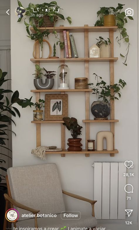 Living Room Plant Shelf Ideas, Cute Things To Put On Shelves, Yoga Station, Plants On Shelf, Boho Shelf Decor, Nyc Apt, Minimalist Shelves, Sofa Wall, Apartment Plants