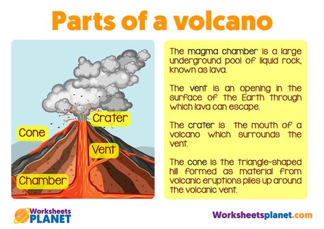 Volcano Science Fair Project, Parts Of A Volcano, Volcano Parts, Volcano Worksheet, Volcano Drawing, Volcano Projects, Reading Comprehension Texts, Magma Chamber, Erupting Volcano