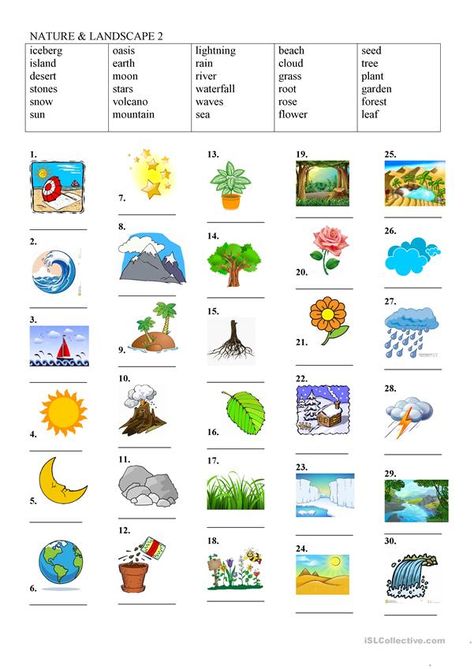 Landscape Vocabulary, Nature Worksheets, Nature Background Images, Kids Literacy, Coloring Pages Inspirational, Kids English, About Nature, Vocabulary Worksheets, Educational Worksheets