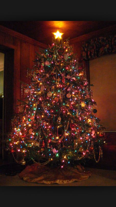 Love this color I always use these colors for my tree Colored Christmas Lights, Colored Lights, Christmas Tree Inspiration, 12 December, Bright Christmas, Beautiful Christmas Trees, Colorful Christmas Tree, Christmas Scenes, Vintage Christmas Tree