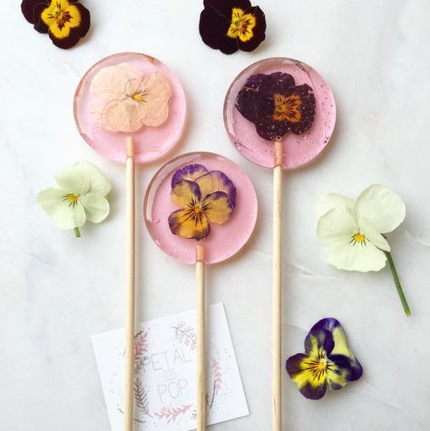 Edible Flower Lollipops by Petal And Pop  Wedding Vault. Perfect treat for a dessert bar, weddings, hens parties, kitchen teas, birthdays or christenings.   #llollipops #lollipop #edibleflowers #dessertbar #desserttable #candy #candytable #violaflowers #kitchentea #bridalshowerideas #weddingfavours #bonbonniere #weddingvault #personalisedgift #kidsparty #girlboss Elderflower Champagne, Handmade Lollipops, Viola Flower, Tropical Punch, Edible Gold, Trace Minerals, Celebrate Life, Wedding Desserts, Edible Flowers