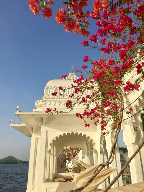 Taj Lake Palace Udaipur Photography, Indian Scenery Beautiful Places, Patchwork, Pastel Desi Aesthetic, Indian Travel Aesthetic, Indian Palace Aesthetic, Indian Architecture Aesthetic, Aesthetic Udaipur, Udaipur Aesthetic