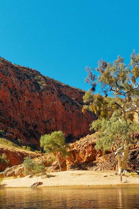 Australian Landscapes, The Gorge, Alice Springs, Mural Ideas, Spring Trip, Red Walls, Spring Aesthetic, Day Hike, Reference Photos