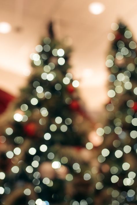 Blurry Christmas Tree, Christmas Tree Images, Christmas Tree Wallpaper, Sparkles Background, Creative Commons Images, Tree Photo, Bokeh Lights, Holiday Wallpaper, Glitter Wallpaper