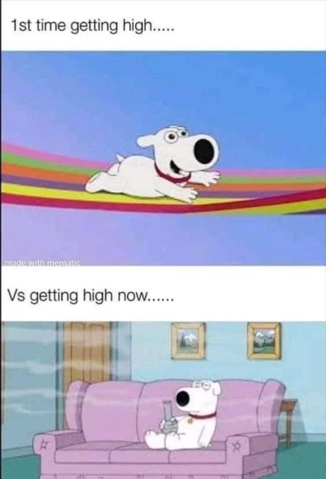 brian high on couch riding a rainbow Brian Family Guy, High Quotes, High Jokes, Getting High, Puff And Pass, Funny Relatable Quotes, Really Funny Pictures, Fact Quotes, Relatable Quotes