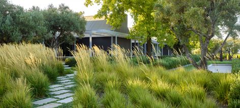 Andrea Cochran Landscape Architecture Entry Pavers, Andrea Cochran, Bocce Court, Australian Native Garden, Hillside Landscaping, Landscape Maintenance, Lawn And Landscape, Native Garden, Landscaping Tips