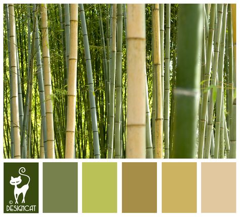 Bamboo 4: Green, Leaf, forest, Beige, Coffee, Sand - Designcat Colour Inspiration Pallet Bamboo Colour Palette, Bamboo Color Palette, Golden Bamboo, Gold Color Combination, Forest Color, Interior Design Images, Color Glaze, Green Colour Palette, Cool House Designs