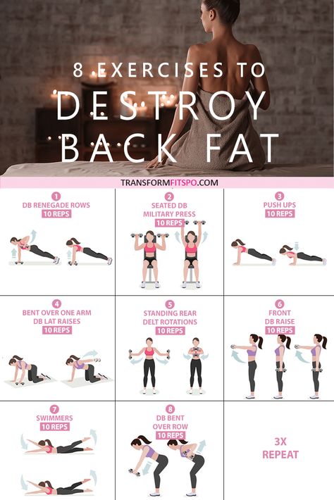 Work Out Exercises At Home, Back Exercises Women At Home Weights, Back Day At Home, Ab Day At The Gym, Back Day Workout At Home, Runners Body Transformation, Ab Day Workout, Exercises For Back Fat, Lower Back Fat