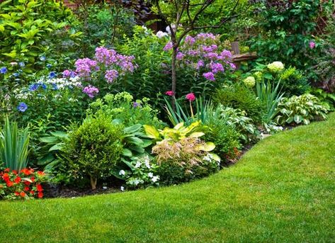 Small Gardens, Flower Garden Layouts, Wisteria Plant, Herbaceous Border, Hardy Perennials, Garden Borders, Perennial Garden, Garden Layout, Garden Cottage