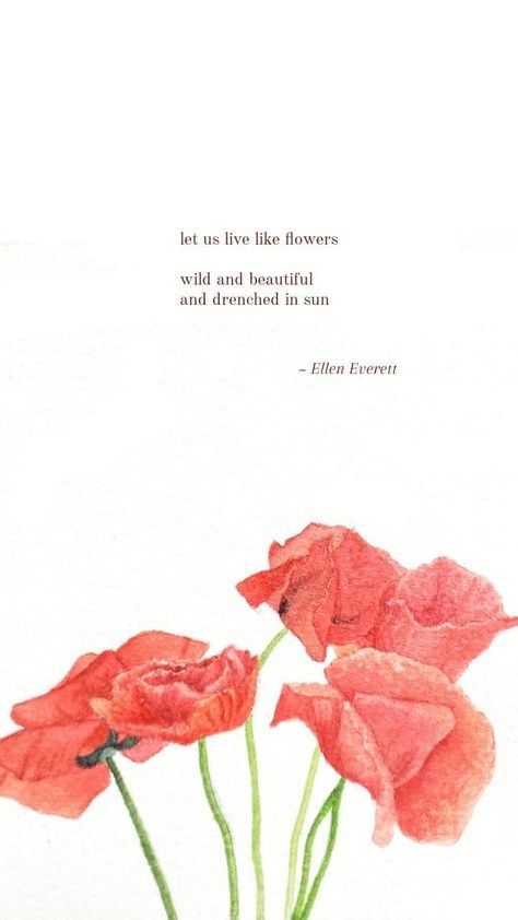 Flower quotes by Ellen Everett Holly Whitaker Quotes, Red Flower Quotes, Poppy Flower Quotes, Ellen Everett Poems, Wild Flowers Quotes, Quotes On Flowers, Poppy Quotes, Poems About Flowers, Poppy Poem