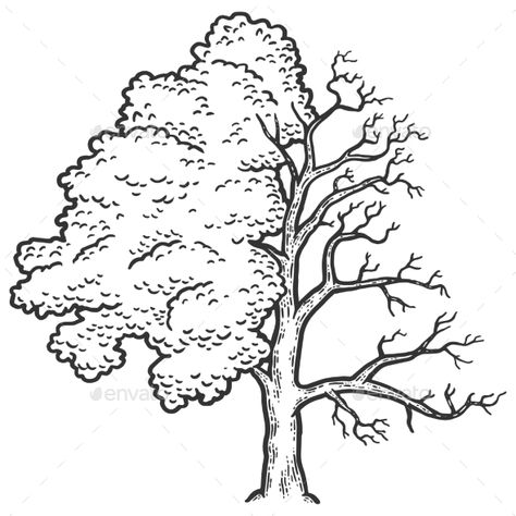 Half Tree Drawing, Leaveless Tree Drawing, Crooked Tree Drawing, Dead Tree Drawing, Quick Tree Sketch, Dry Tree, Earth Poster, Bad Drawings, One Piece Tattoos