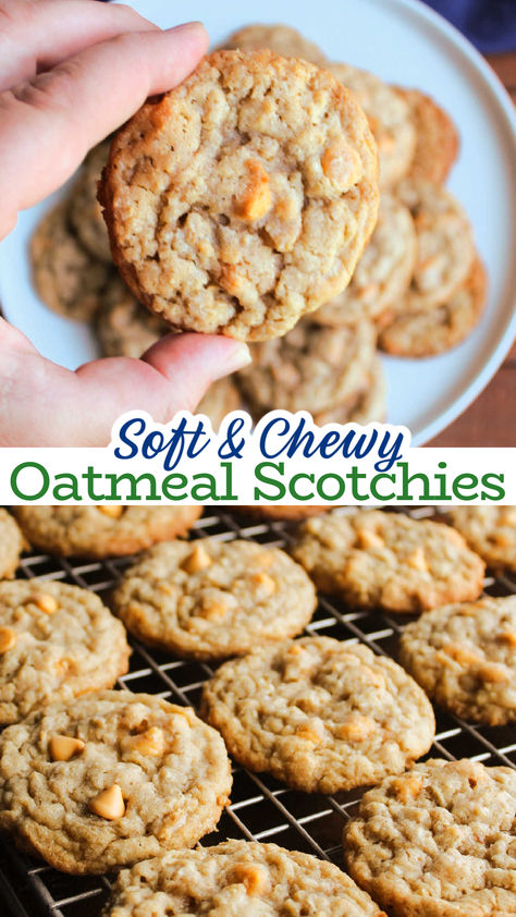 Oatmeal scotchies are soft and chewy oatmeal cookies that are bursting with brown sugar and butterscotch flavors. They are a classic treat for good reason and this is a recipe that should be in your repertoire. Best Ever Oatmeal Scotchies, Butterscotch Oatmeal Cookies Recipes, Recipe Oatmeal Cookies, Butterscotch Oatmeal Cookies Chewy, Gluten Free Oatmeal Scotchies, Soft Oatmeal Butterscotch Cookies, Christmas Cookies Recipes Oatmeal, Oatmeal Scotchies Cookies 12 Tomatoes, Butterscotch Cookies Oatmeal