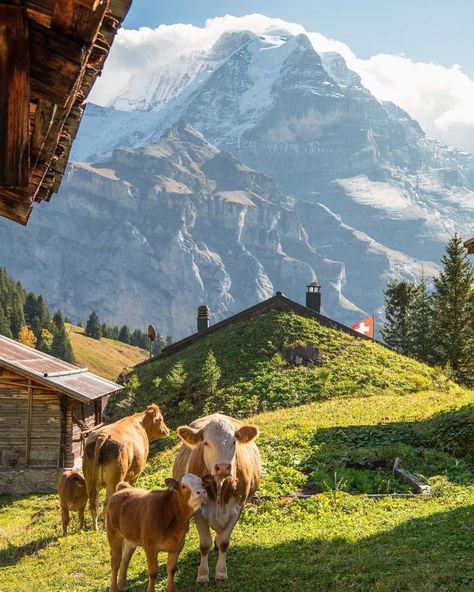 Switzerland Vacation, Best Landscape, Travel Photography Tips, Travel Photography Inspiration, Switzerland Travel, Dream Travel Destinations, Zermatt, Pretty Places, Travel Inspo