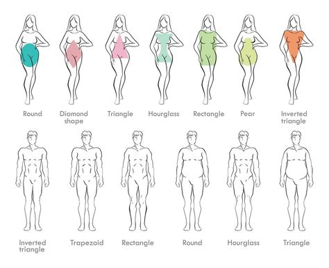 Drawing Body Types, Body Types Chart, Female Body Types, Mens Body Types, Male Body Shapes, Male Body Drawing, Body Type Drawing, Bored Art, Hourglass Body Shape