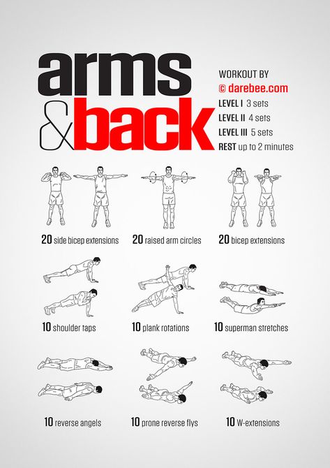 Arms & Back Workout Arm And Back Workout, Workouts Arms, Back Of Arm Exercises, Arm Workout No Equipment, Upper Body Strength Workout, Arm Workouts At Home, Arm Workout Women, Exercise Muscle, Trening Fitness