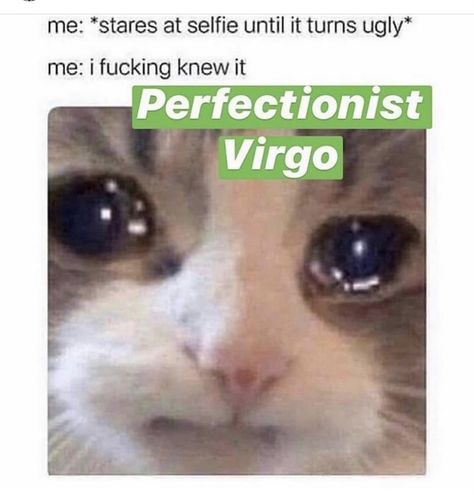 Virgo Pictures, Funny Virgo Quotes, Funny Virgo, Virgo Mood, Virgo Emotions, Virgo Things, Virgo Aesthetic, Virgo Energy, Virgo Goddess