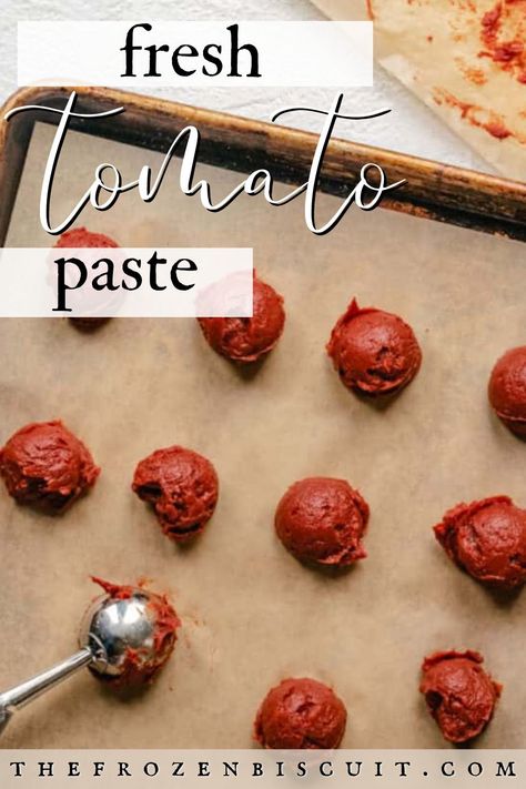 Diy Tomato Paste, Make Tomato Paste, Tomato Paste Uses, Homemade Tomato Paste, Tomato Paste Recipe, Pizza Sauces, Homemade Ketchup Recipes, Freezing Tomatoes, How To Thicken Soup