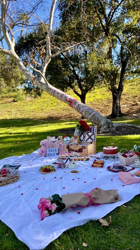 Parties At The Park, V Day Picnic, Cute Girls Picnic Ideas, Birthday Picnics In The Park, Picnic In A Bubble, Valentines Day Picnic Ideas Outdoor, Birthday Park Picnic, Picnic Valentines Day Date Ideas, Will You Be My Girlfriend Picnic