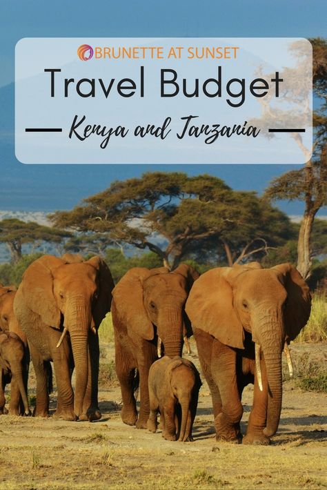 How much money do you need to travel around Kenya and Tanzania? Read it here. South Africa Itinerary, Safari In Africa, Africa Itinerary, Tanzania Travel, Tanzania Safari, On Safari, Perfect Itinerary, African Safari, Once In A Lifetime